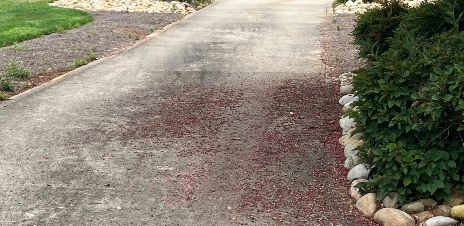 Driveway before CK Pressure Washing service